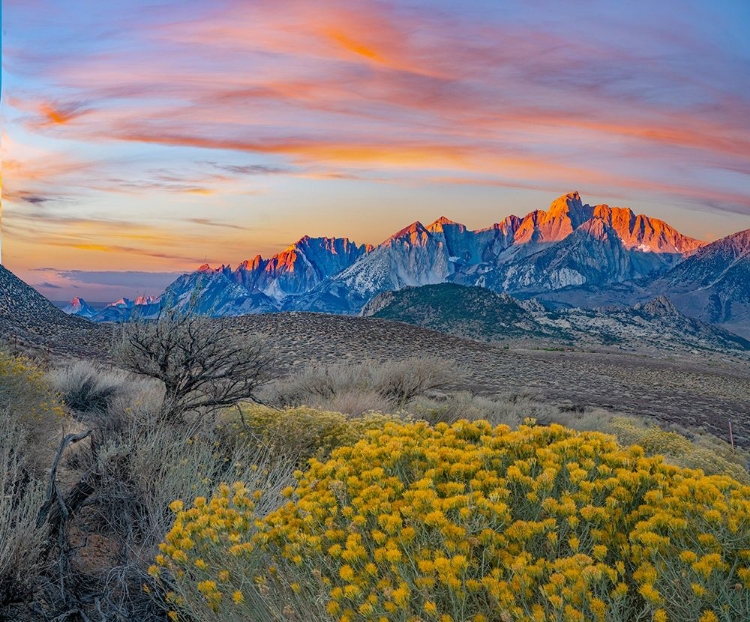 Picture of SIERRA NEVADA FROM OWENS VALLEY-CALIFORNIA-USA