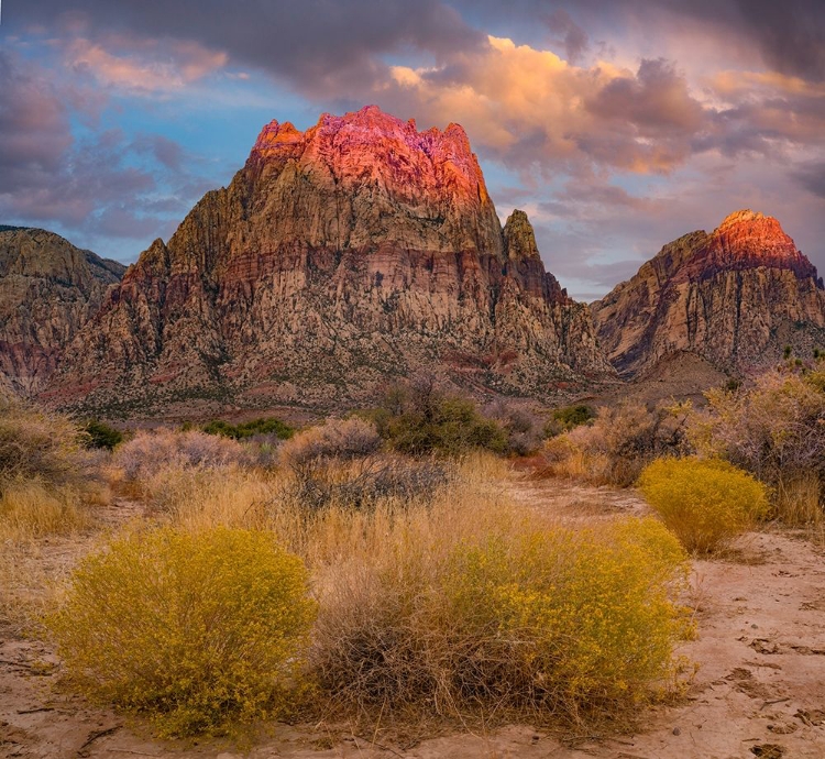 Picture of SPRING MOUNTAINS-RED ROCK CANYON NATIONAL CONSERVATION AREA-NEVADA