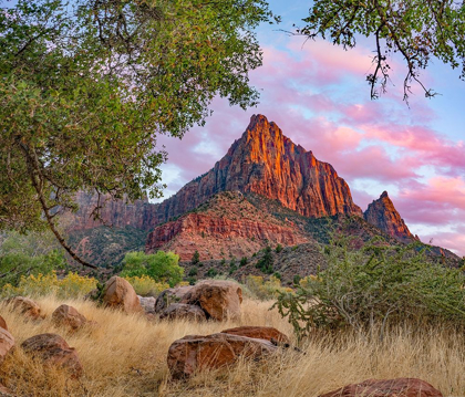 Picture of THE WATCHMAN-ZION NATIONAL PARK-UTAH-USA