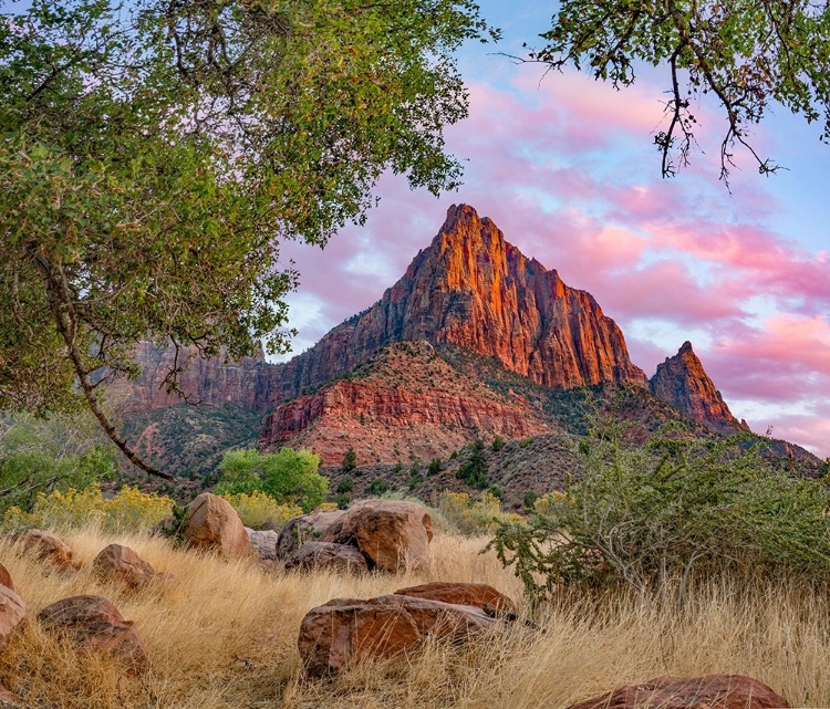 Picture of THE WATCHMAN-ZION NATIONAL PARK-UTAH-USA