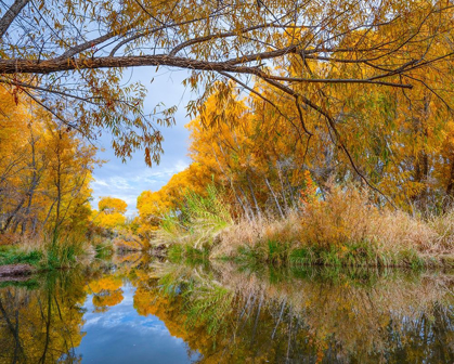 Picture of VERDE RIVER NEAR CAMP VERDE-ARIZONA-USA