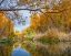 Picture of VERDE RIVER NEAR CAMP VERDE-ARIZONA-USA