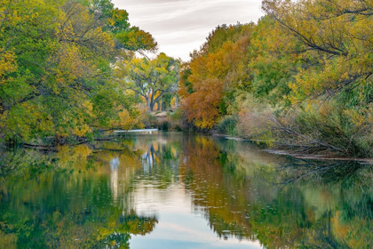 Picture of VERDE RIVER NEAR CAMP VERDE-ARIZONA-USA