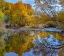 Picture of VERDE RIVER NEAR CAMP VERDE-ARIZONA-USA