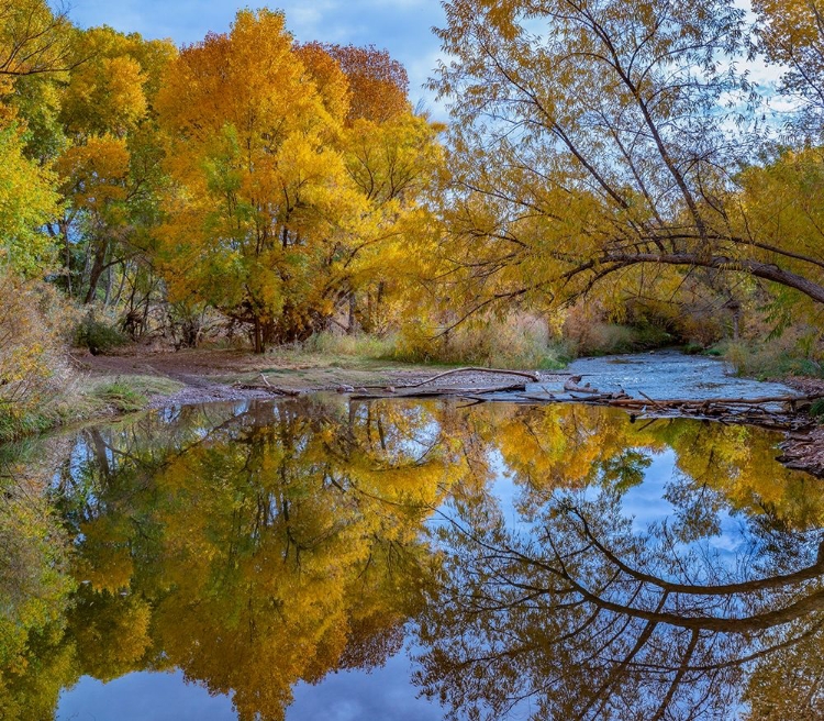 Picture of VERDE RIVER NEAR CAMP VERDE-ARIZONA-USA