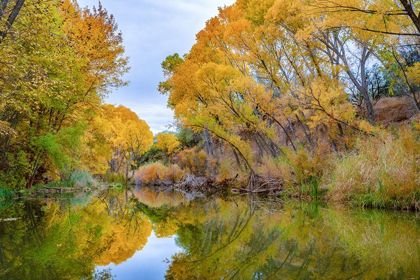 Picture of VERDE RIVER NEAR CAMP VERDE-ARIZONA-USA