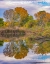 Picture of VERDE RIVER VALLEY-LAGOON AT DEAD HORSE RANCH STATE PARK-ARIZONA