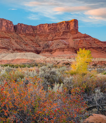 Picture of PORCUPINE CANYON ON COLORADO RIVER NEAR CASTLE VALLEY-UTAH