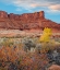 Picture of PORCUPINE CANYON ON COLORADO RIVER NEAR CASTLE VALLEY-UTAH