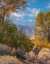 Picture of SIERRA NEVADA-OWENS VALLEY-CALIFORNIA-USA