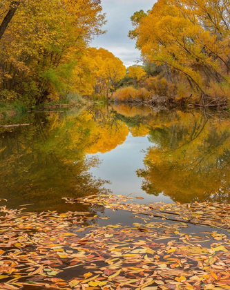 Picture of VERDE RIVER NEAR CAMP VERDE-ARIZONA-USA