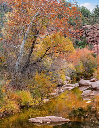 Picture of EAST VERDE RIVER-ARIZONA-USA