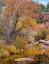 Picture of EAST VERDE RIVER-ARIZONA-USA