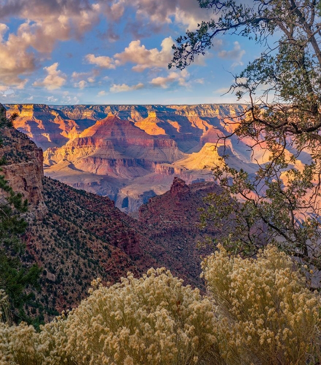 Picture of SOUTH RIM-GRAND CANYON NATIONAL PARK-ARIZONA USA