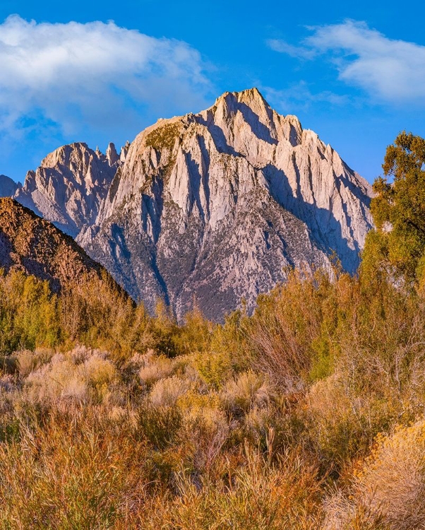 Picture of LONE PINE PEAK FROM TUTTLE CREEK-SIERRA NEVADA-CALIFORNIA-USA