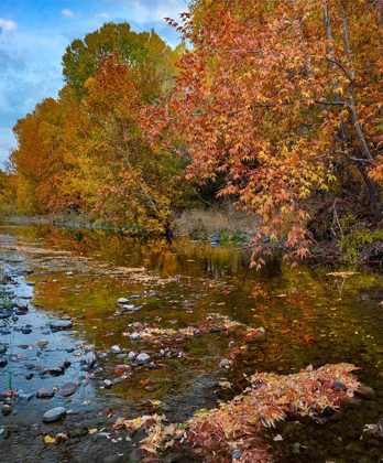 Picture of EAST VERDE RIVER-ARIZONA-USA