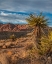 Picture of RED ROCK CANYON NATIONAL CONSERVATION AREA NEAR LAS VEGAS-NEVADA