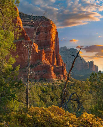 Picture of COCONINO NATIONAL FOREST NEAR SEDONA-ARIZONA-USA