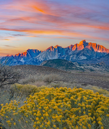 Picture of SIERRA NEVADA FROM BUTTERMILK ROAD NEAR BISHOP-CALIFORNIA-USA