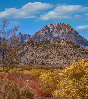 Picture of SIERRA NEVADA FROM BUTTERMILK ROAD NEAR BISHOP-CALIFORNIA-USA