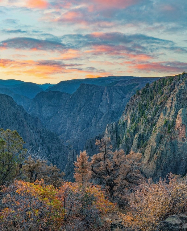 Picture of TOMICHI POINT-BLACK CANYON OF THE GUNNISON NATIONAL PARK-COLORADO