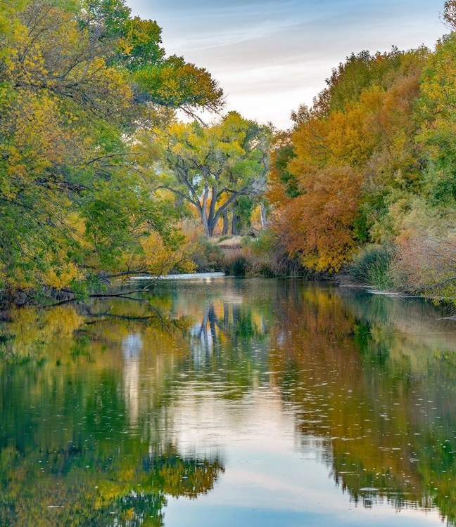 Picture of VERDE RIVER NEAR CAMP VERDE-ARIZONA-USA