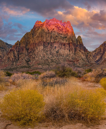 Picture of SPRING MOUNTAINS-RED ROCK CANYON NATIONAL CONSERVATION AREA-NEVADA
