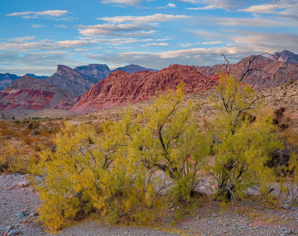 Picture of SPRING MOUNTAINS-RED ROCK CANYON NATIONAL CONSERVATION AREA-NEVADA