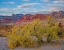 Picture of SPRING MOUNTAINS-RED ROCK CANYON NATIONAL CONSERVATION AREA-NEVADA