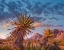 Picture of RED ROCK CANYON NATIONAL CONSERVATION AREA NEAR LAS VEGAS-NEVADA