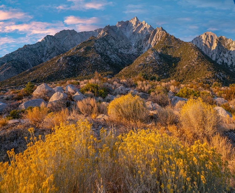 Picture of LONE PINE PEAK-EASTERN SIERRA-CALIFORNIA-USA