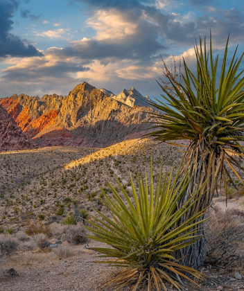 Picture of RED ROCK CANYON NATIONAL CONSERVATION AREA NEAR LAS VEGAS-NEVADA