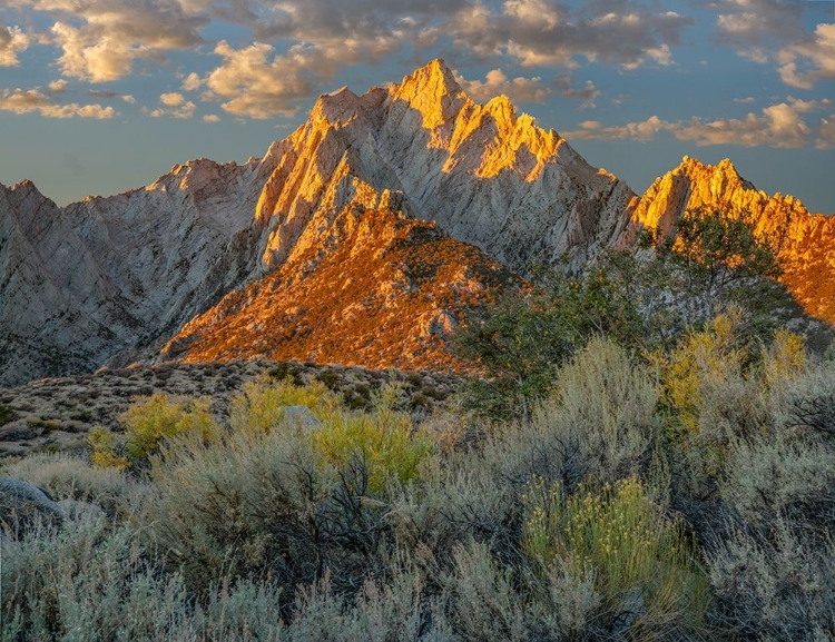 Picture of LONE PINE PEAK FROM TUTTLE CREEK-SIERRA NEVADA-CALIFORNIA-USA 