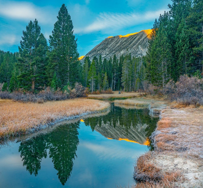 Picture of ROCK CREEK. INYO NATIONAL FOREST-CALIFORNIA-USA