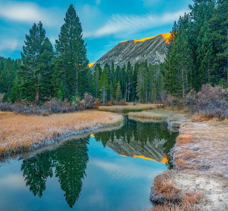 Picture of ROCK CREEK. INYO NATIONAL FOREST-CALIFORNIA-USA