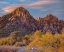 Picture of WILLOWS AND WASH-RED ROCK CANYON-NEVADA