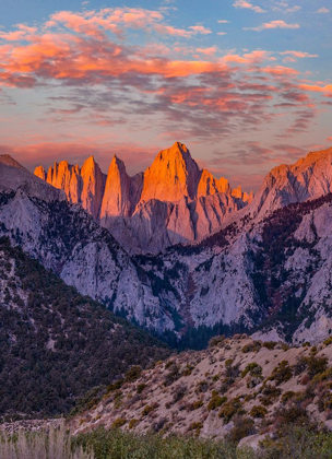 Picture of MOUNT WHITNEY-SEQUOIA NATIONAL PARK INYO-NATIONAL FOREST-CALIFORNIA