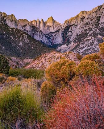 Picture of MOUNT WHITNEY-SEQUOIA NATIONAL PARK INYO-NATIONAL FOREST-CALIFORNIA