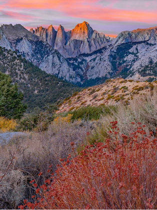 Picture of MOUNT WHITNEY-SEQUOIA NATIONAL PARK INYO-NATIONAL FOREST-CALIFORNIA