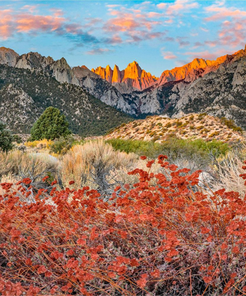 Picture of MOUNT WHITNEY-SEQUOIA NATIONAL PARK INYO-NATIONAL FOREST-CALIFORNIA