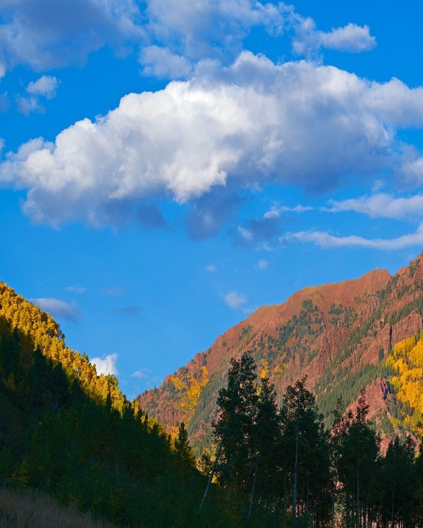 Picture of WHITE RIVER NATIONAL FOREST