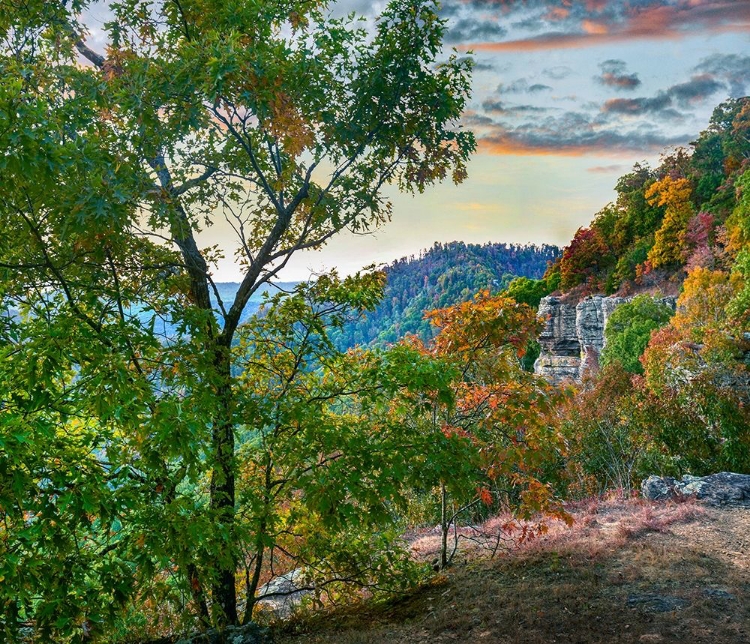 Picture of WHITE ROCK MOUNTAIN SUNSET