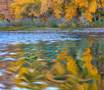 Picture of RIPPLES IN THE RIO GRANDE