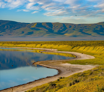 Picture of SODA LAKE-CARRIZO PLAIN NATIONAL MONUMENT