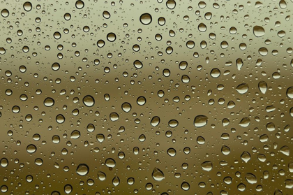 Picture of WATER DROPLETS ON GLASS