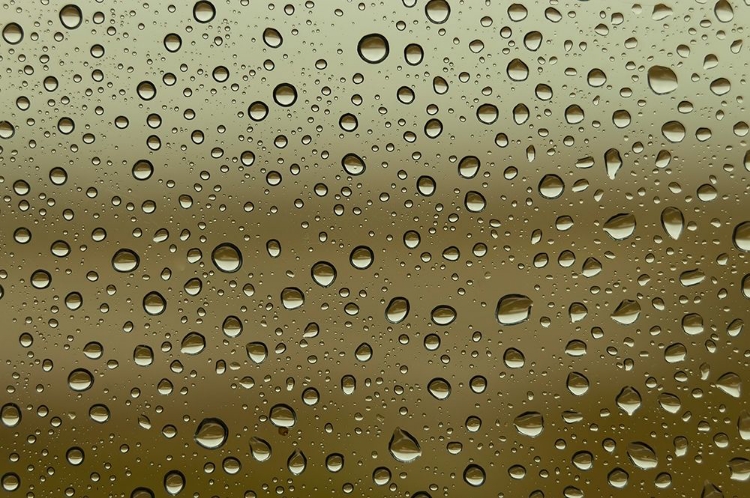 Picture of WATER DROPLETS ON GLASS