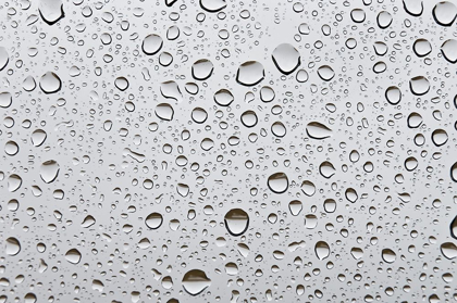 Picture of WATER DROPLETS ON GLASS