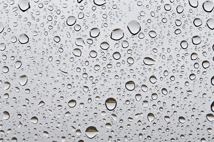 Picture of WATER DROPLETS ON GLASS