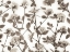 Picture of VIBURNUM JUDDII FLOWERS