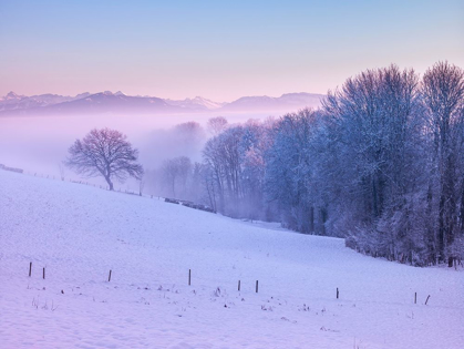 Picture of WINTER LANDSACPE IN SWITZERLAND